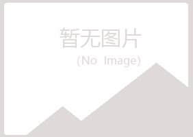 铁力忆山化学有限公司